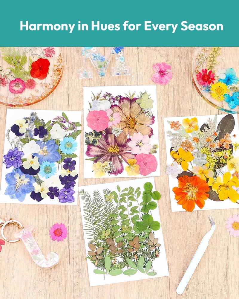 Resiners Dried Flowers, 100Pcs Pressed Flowers for Craft Retro Style Real Natural Dried Flowers Dry Leaves Kit for DIY Making Crafts Resin Soap Candle Scrapbook Supplies Card Making Jewelry - Image 2